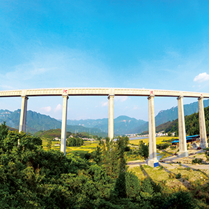 湖北省樊口电排站管理处2026年度水毁修复项目成交结果公告