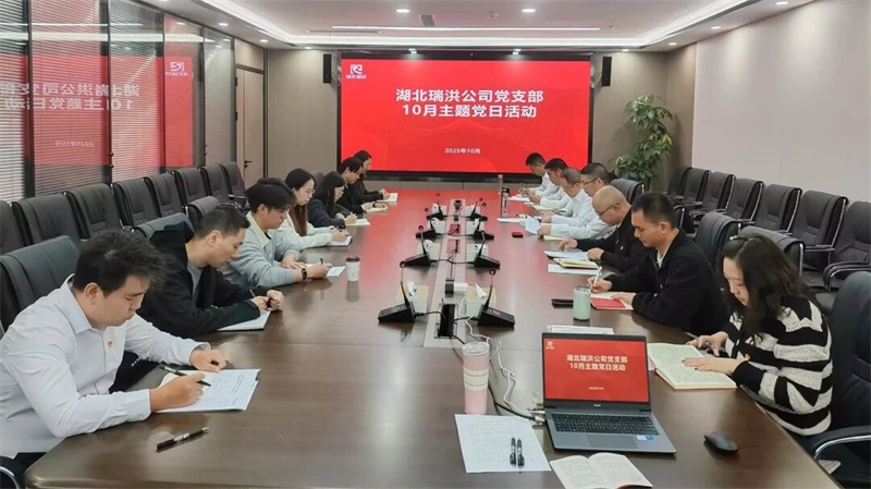 深学细悟新思想 传承精神担使命 ——湖北瑞洪公司党支部开展主题党日暨专题党课活动