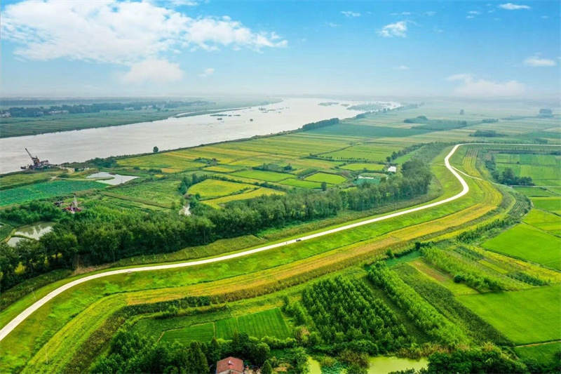 湖北省汉江下游堤防除险加固一期工程2025年度项目单位工程顺利通过验收